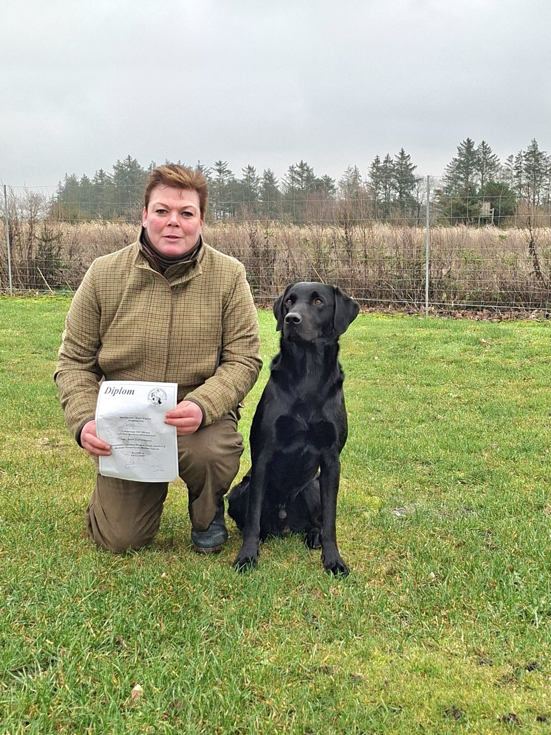 Harvey åbenklasse markprøve RJK 14.12.2025